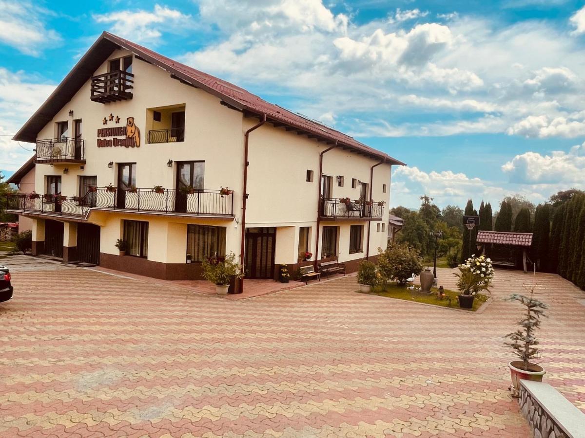 Pensiunea Valea Ursului Campulung Dış mekan fotoğraf