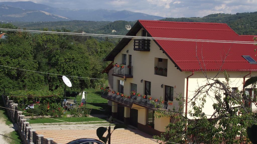 Pensiunea Valea Ursului Campulung Dış mekan fotoğraf